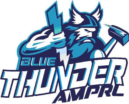 NZ Thunder Logo